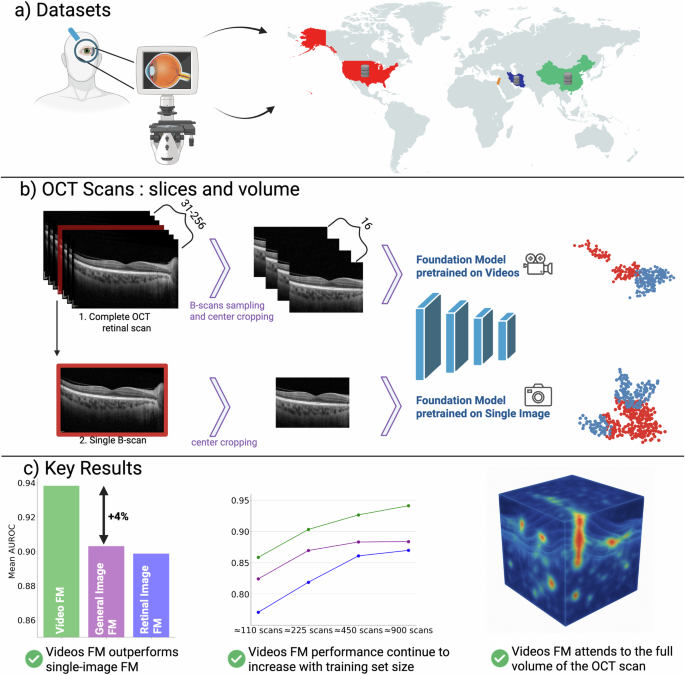 Shifting The Retinal Foundation Models Paradigm From Slices To Volumes For Optical Coherence Tomography