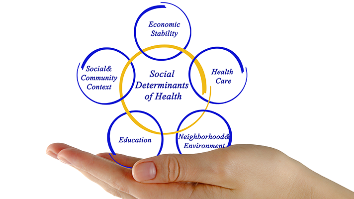 Addressing Social Determinants of Health With Data Interoperability