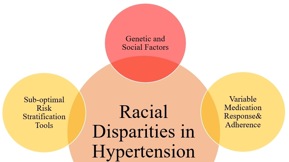 Leveraging Digital Tools for Hypertension Management in Marginalized Groups: A Pathway to Health Equity