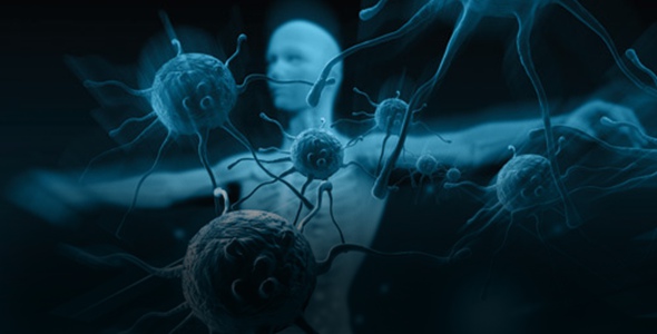 Value-Based Care: How Home Care is Evolving Beyond Contracts