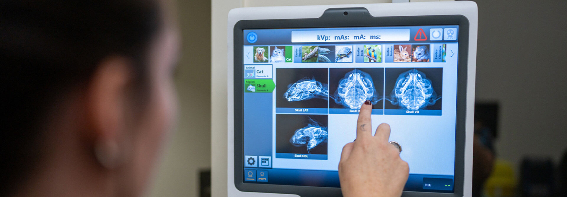 Patients’ Views On Healthcare Data—And What It Means For Strategies