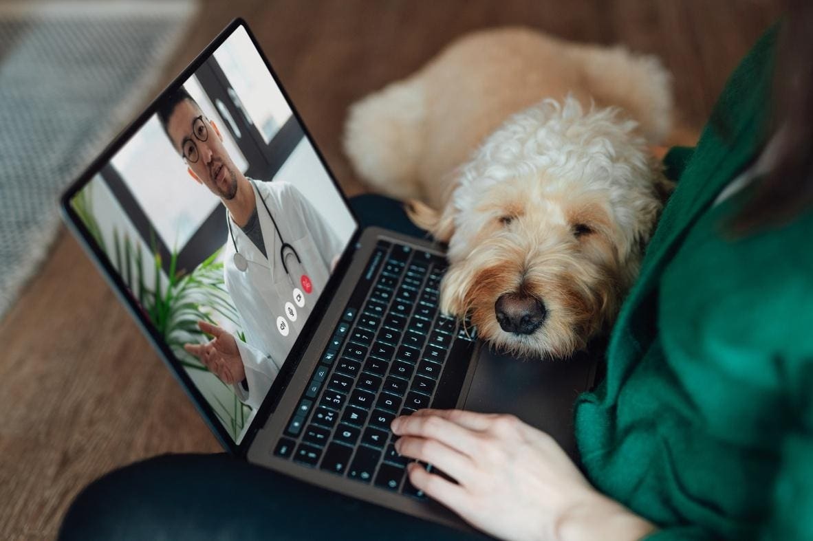 The Doctor Will Zoom You Now: A Physician's Guide To The Next Era Of Telehealth