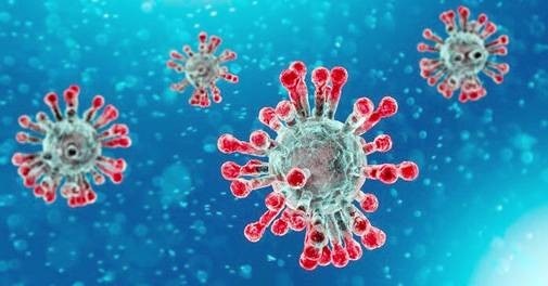 Two Coronavirus Vaccine Candidates Enter Human Trials, 60 in Pre-Clinical Stage: WHO