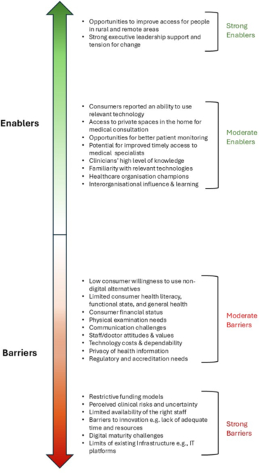 Considerations for Establishment of a Private Virtual Hospital Identified Using an Implementation Science Approach
