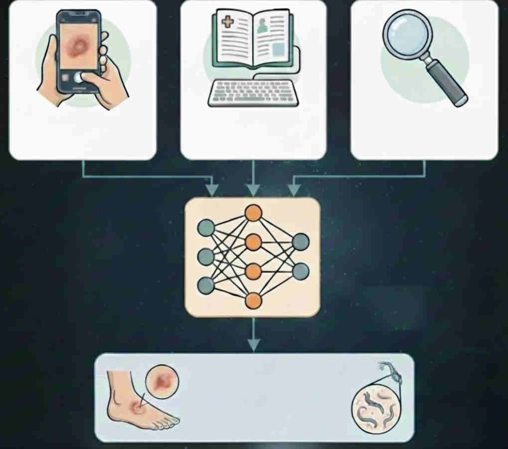 Application of Deep Learning-Based Multimodal Data Fusion for the Diagnosis of Skin Neglected Tropical Diseases