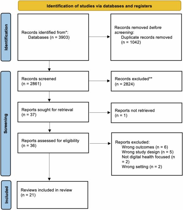 An Umbrella review on How Digital Health Intervention co-design is conducted and …