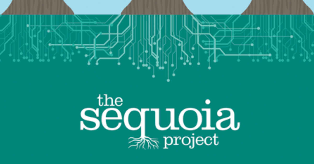 Sequoia Project Launches Data Usability Validator Tool for Health Information Exchange