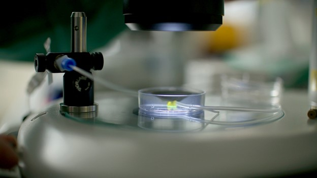 New 3D Printed Micro Device Provides Breakthrough For IVF and Regenerative Medicine