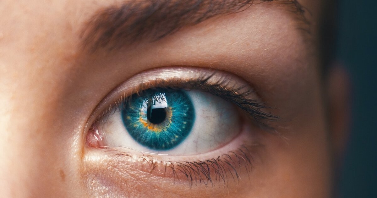 SERI Researchers Develop AI Tools for Screening Kidney Disease, Predicting Age using Eye Photos