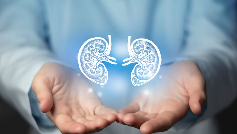 Algorithm may help avoid 40% of kidney transplant rejection misdiagnoses: study