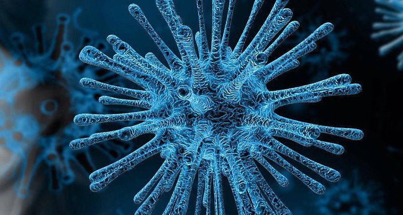 Medical specialty group wants Trump to declare national emergency over coronavirus