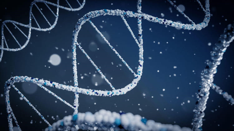 Clinical Validation of Biomarkers: What the Evidence Must Show