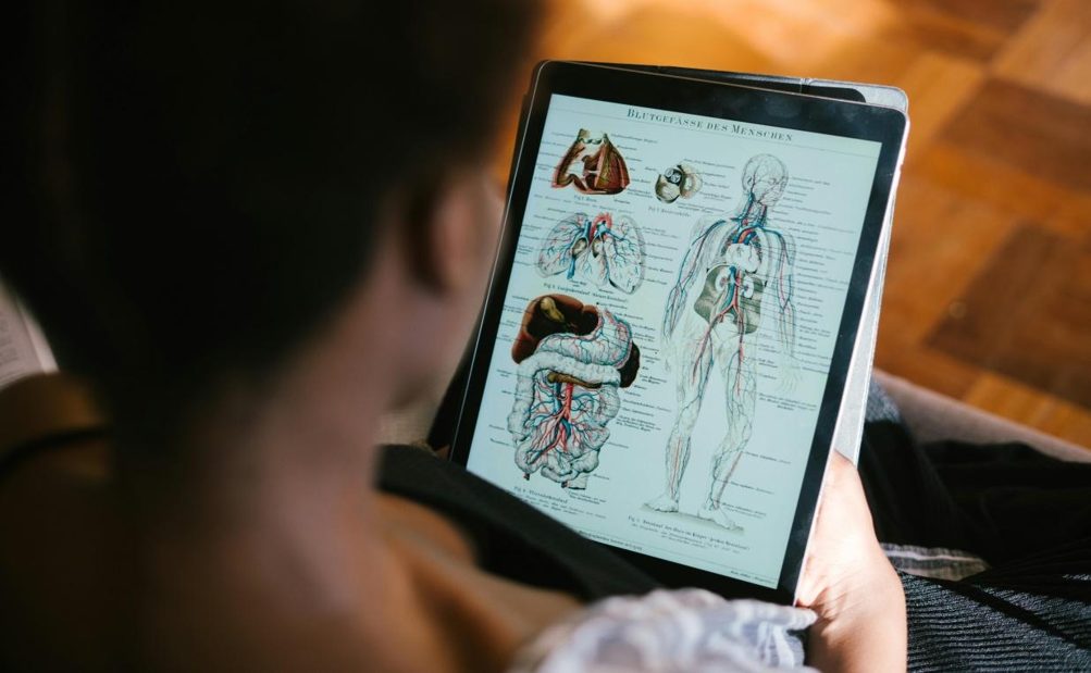 The Impact of Human Anatomy Education on Healthcare Innovation