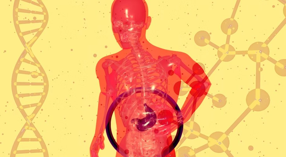 How Medical Technology Is Helping Create Personalised Therapies That Improve Gut Health