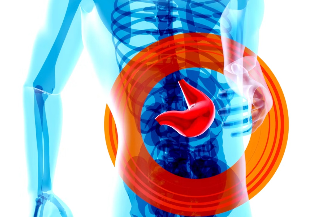 KPV in Intestinal Inflammation: From Mechanistic Research to Responsible Study Design