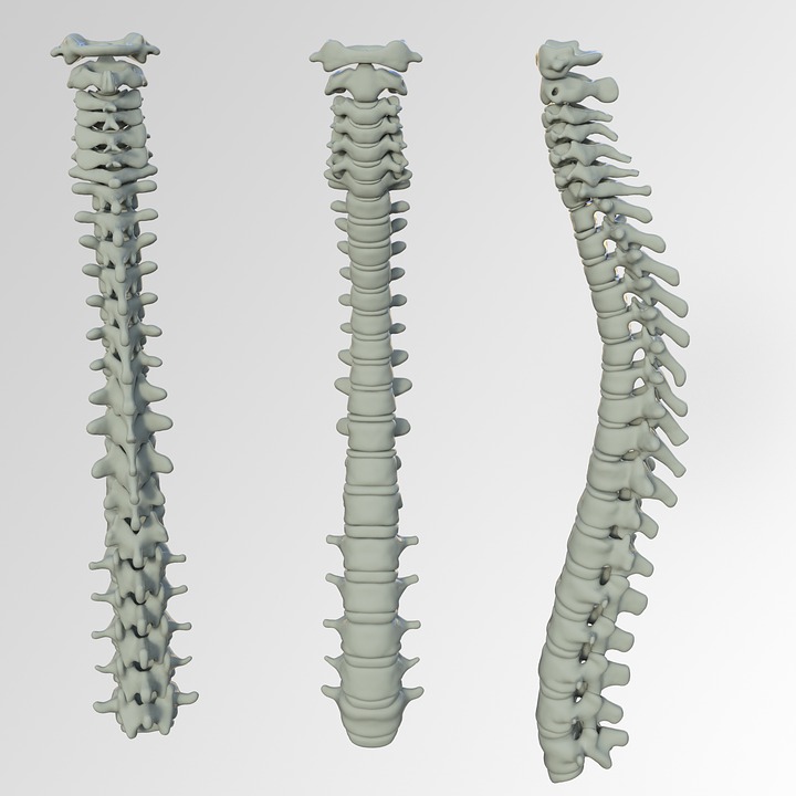 Exploring Recent Advances in Spinal Injury Care