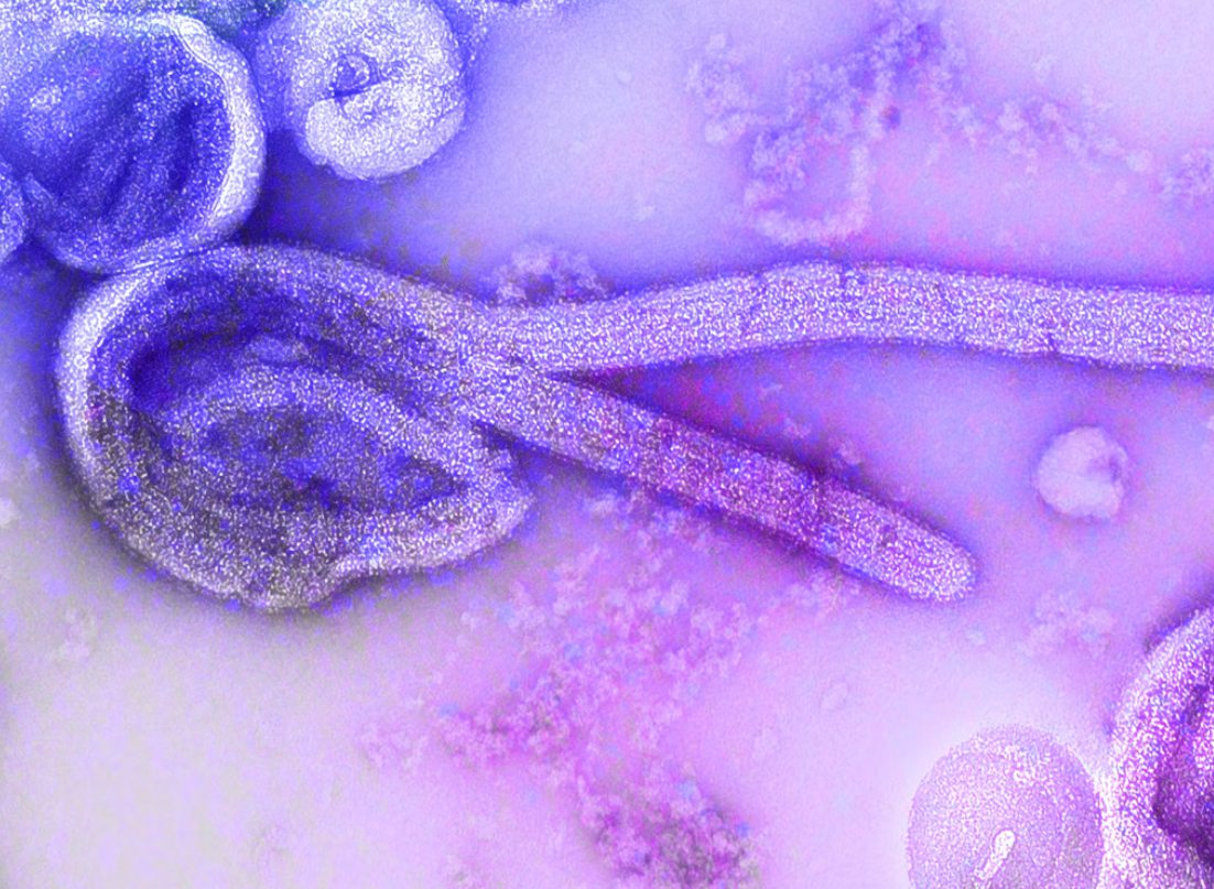 Facilities Safety in Healthcare: Why Legionella Awareness Matters For Your Staff
