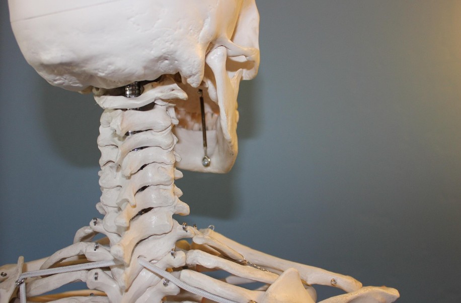 What a Neck Lift Can Improve and When It Becomes an Option for Aging Skin