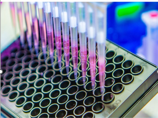 Competitive ELISA Explained: Mechanism, Data Interpretation, and Research Applications