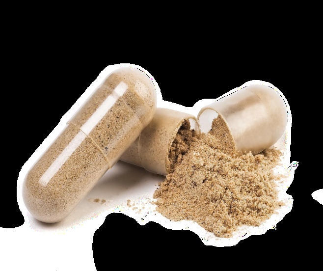 The Science of Synergy: How a Nutrient Matrix Elevates Health