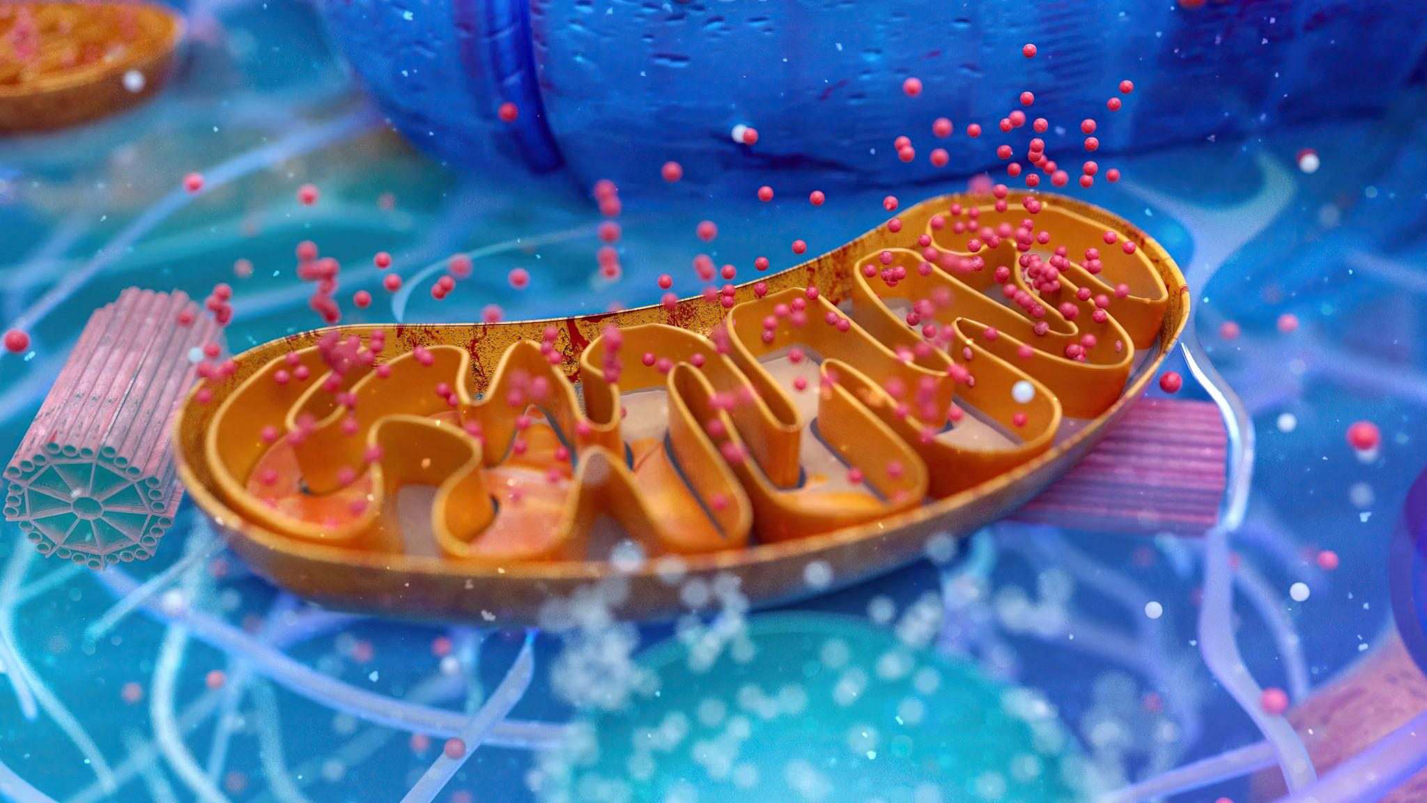 Understanding How Active Proteins Work: A Simple Guide