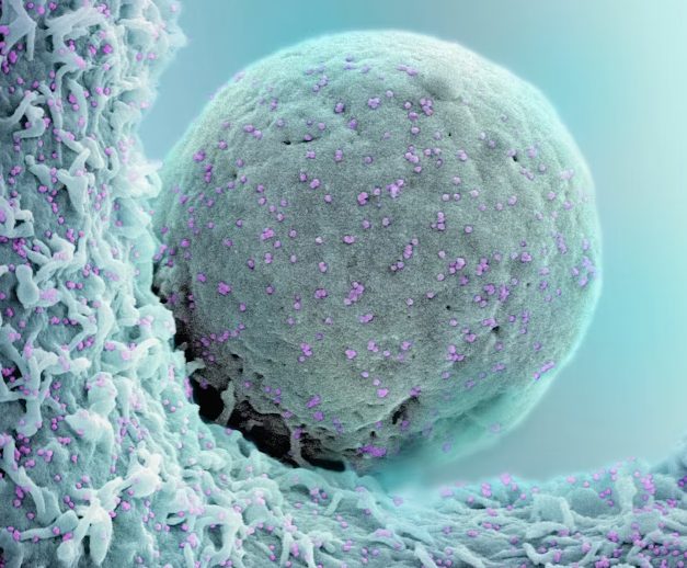 5 Things You Must Know About Stem Cell Therapy for US Patients