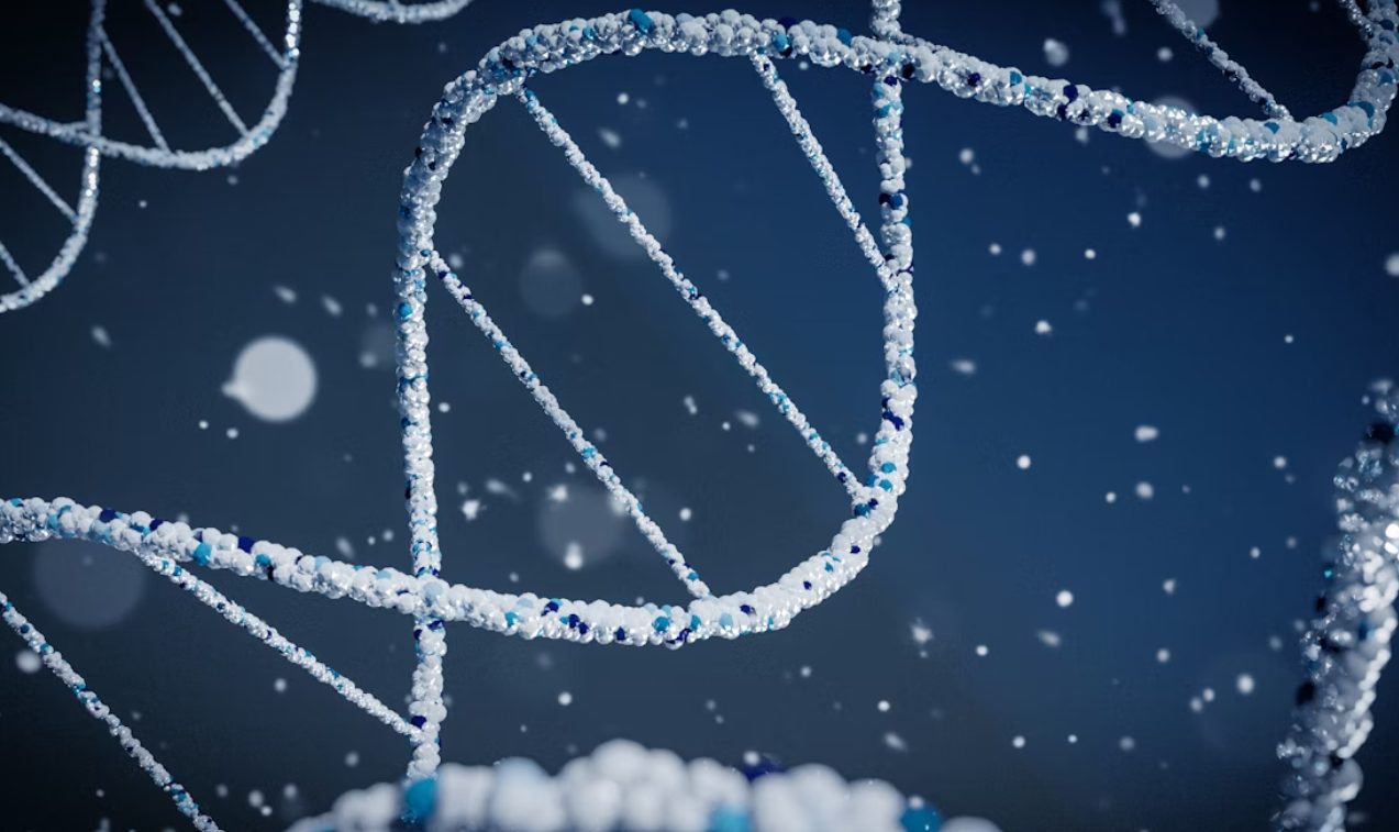 Single-Cell Immune Profiling Strategies for Characterizing Rare Cell Populations in Autoimmune and Oncology Indications