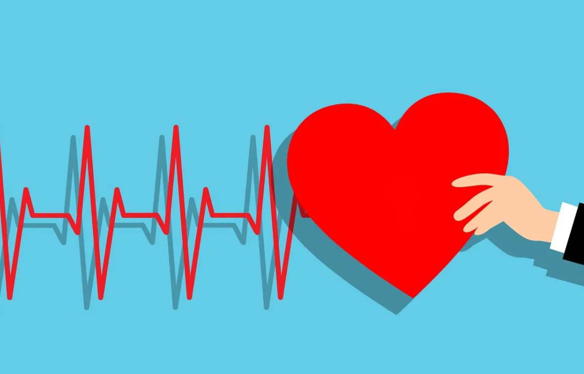 Does Family History Increase Your Heart Disease Risk?