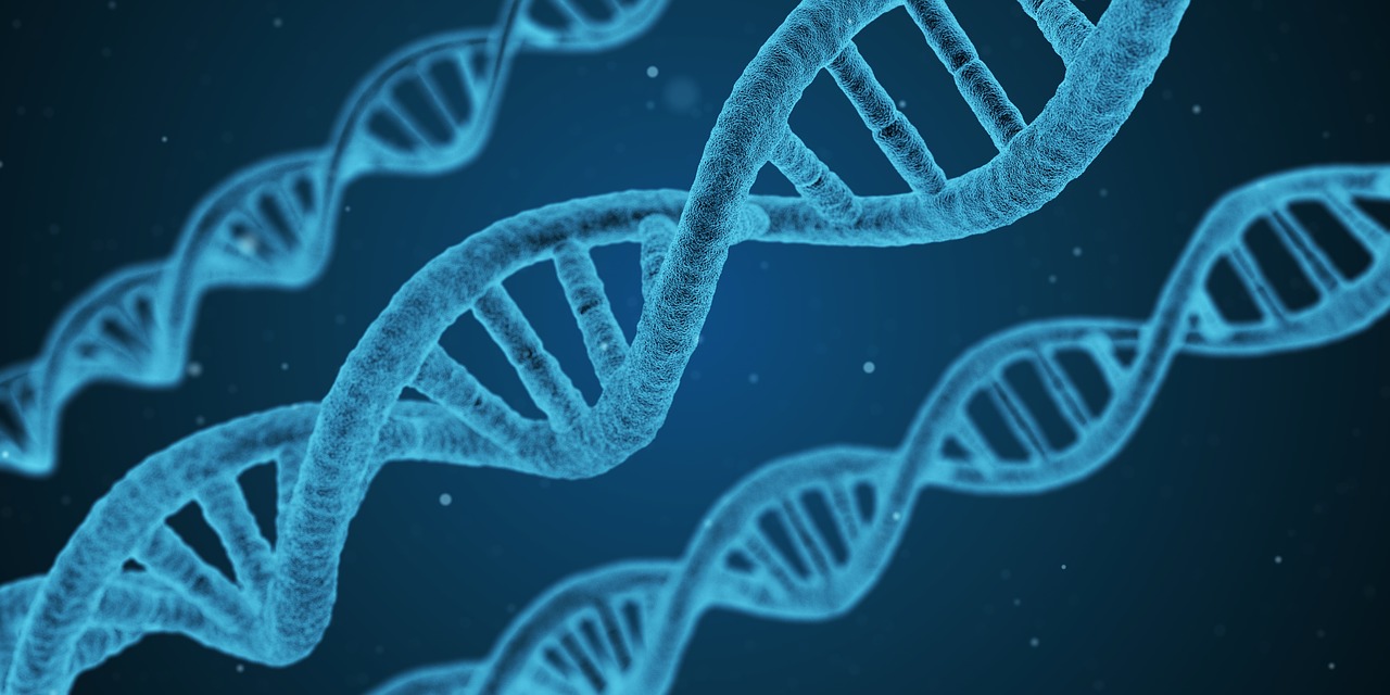 How Ubigene Simplifies Genome-Wide CRISPR Screening for Functional Genomics Research