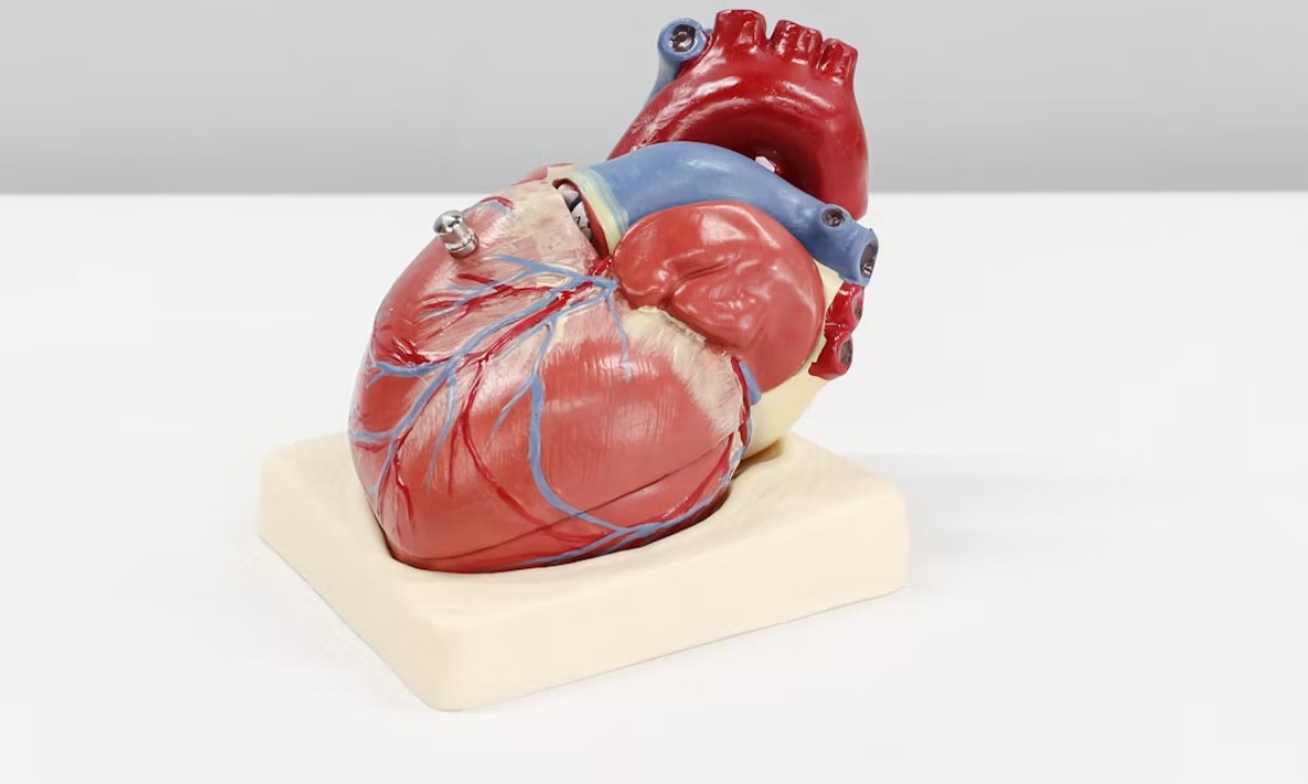How Advanced Cardiac Imaging Technology Is Changing Heart Disease Detection