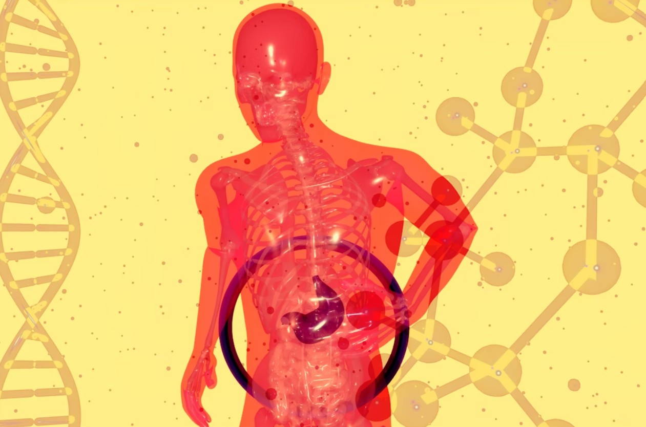 Functional Medicine for Leaky Gut Syndrome: How It Works and What to Expect