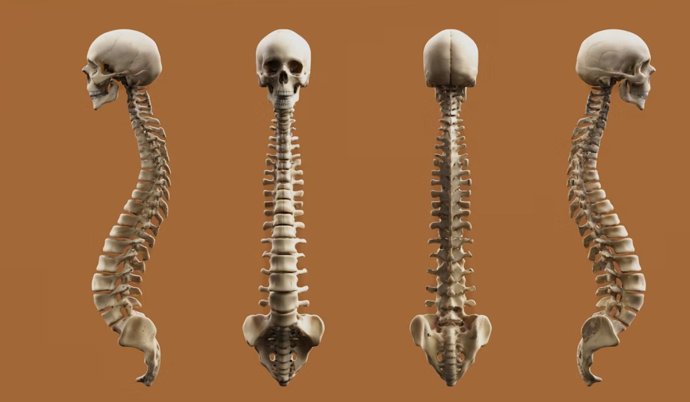 Why Osteopathic Medicine Is Emerging as a Sports Injury Solution