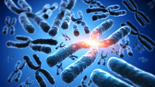 Dark centers of chromosomes reveal ancient DNA