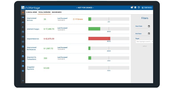 Echo Group Revenue Cycle Management