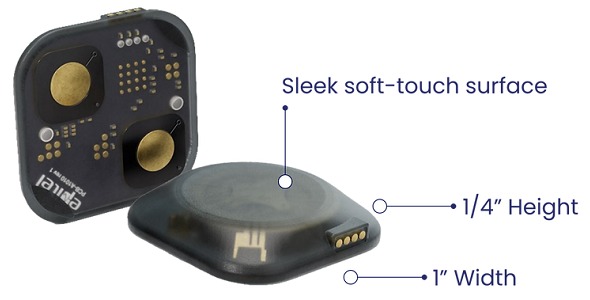 REMI Remote EEG Monitoring System