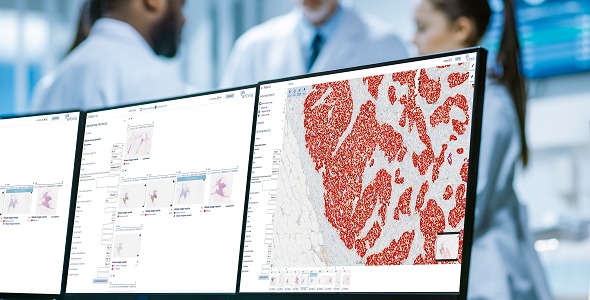 Aiforia Clinical Suites