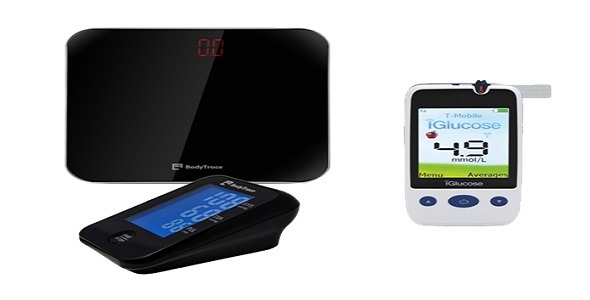 Remote Blood Pressure Monitoring System  CareSimple Blood Pressure (BP)  Monitor