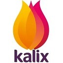 Kalix Platform