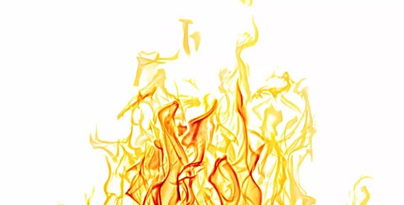 Dynamic FHIR® API