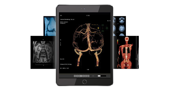 ViTelNet - Medical Imaging