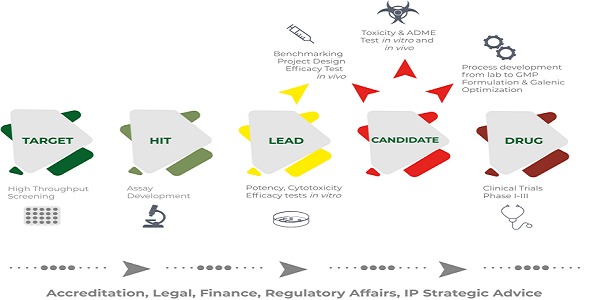 Vector B2B Drug Development Solution