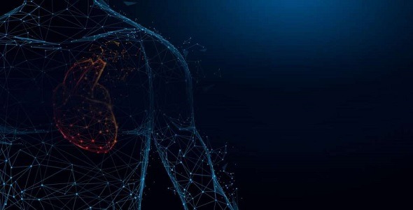AltexSoft AI Solution