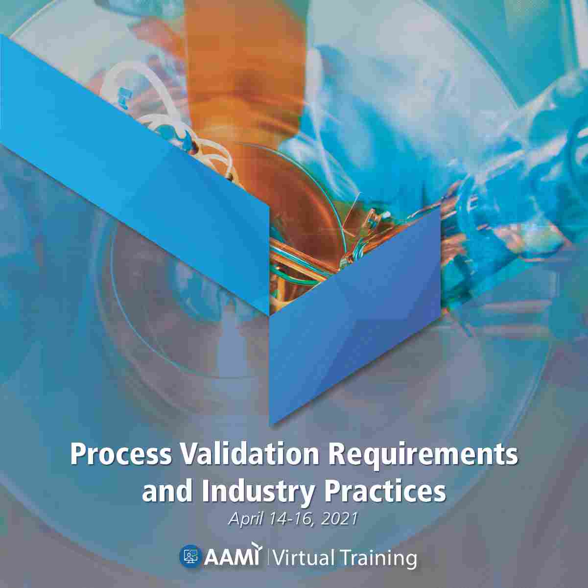 Process Validation Requirements & Industry Practices