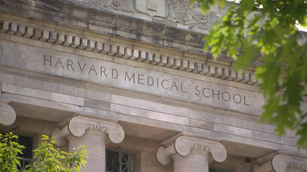 Optimal Management in Vascular and Endovascular Surgery 2024