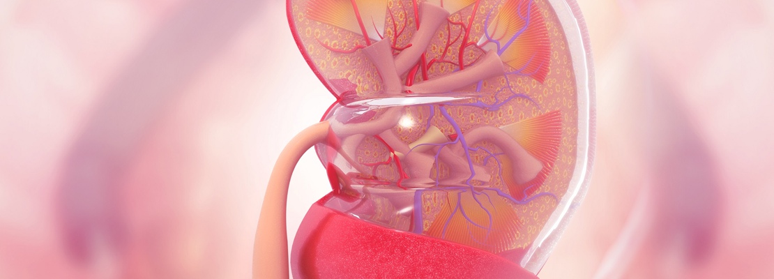 Retroperitoneal Robotic Partial Nephrectomy Training Course