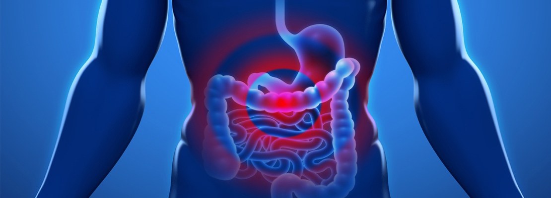 19th International Conference on Gastroenterology and Digestive Disorders