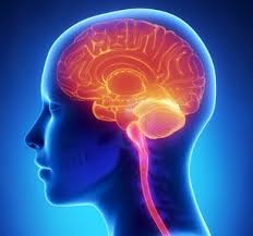 7th Annual Meeting on Neurosurgery and Neurological Surgeons