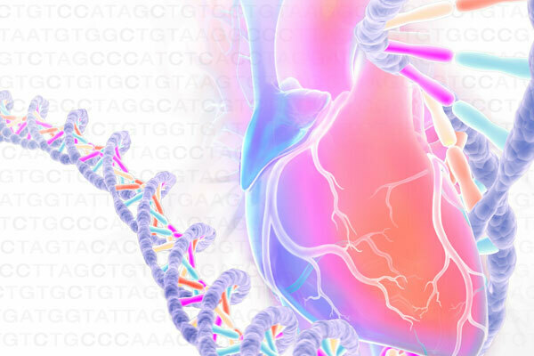 The Genetics of Heart and Vascular Disease