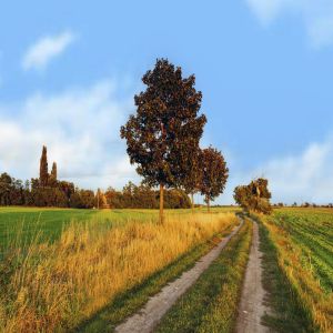 Transforming Community and Rural Healthcare '24: Inspiring Partnerships and Scaling Collaborative Impact