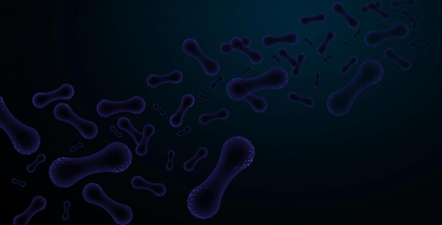Microbiome Connect: USA 2023